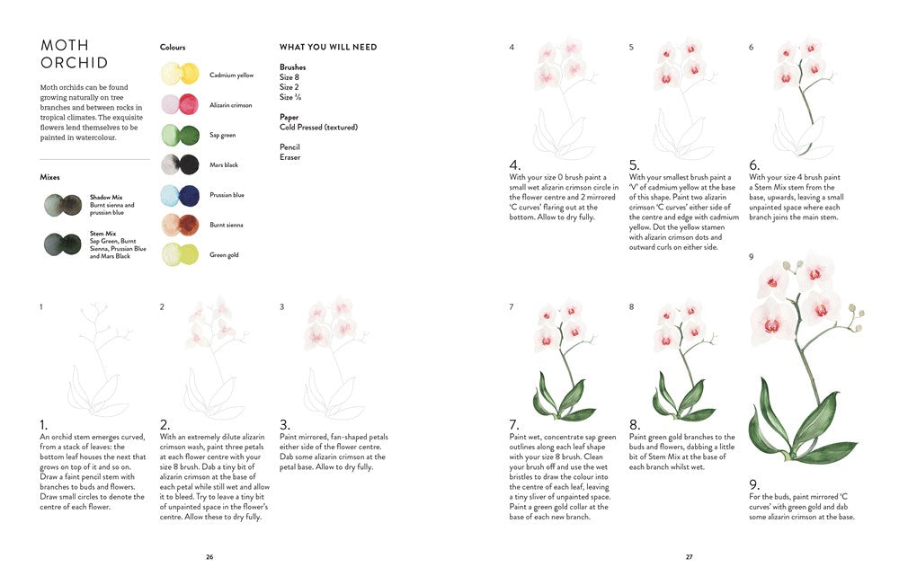 Birds, Bees & Blossoms