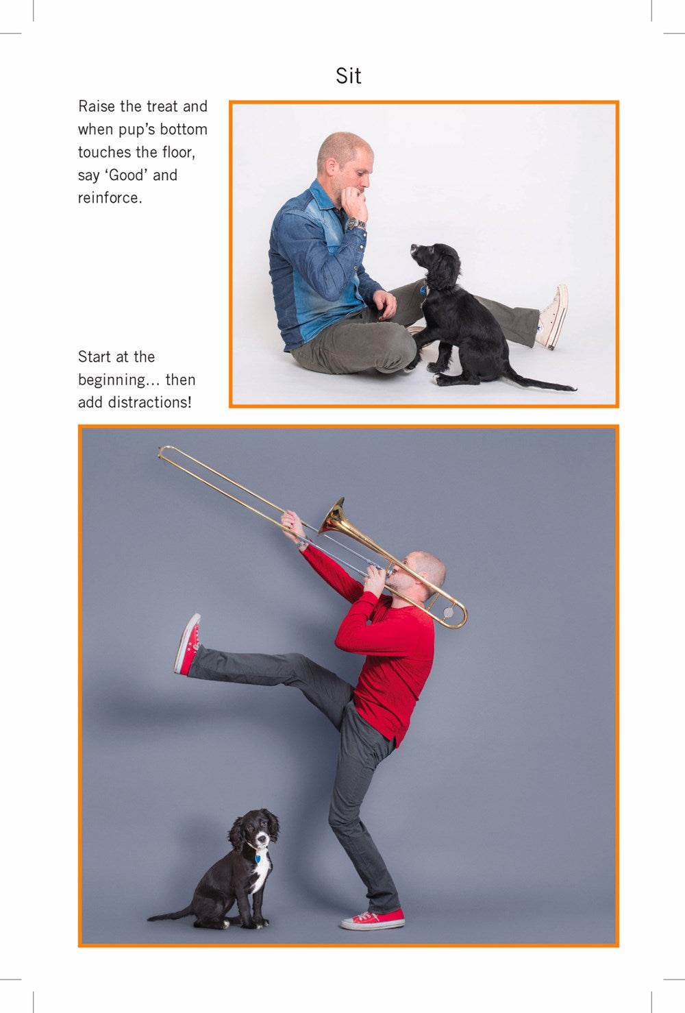 Easy Peasy Puppy Squeezy