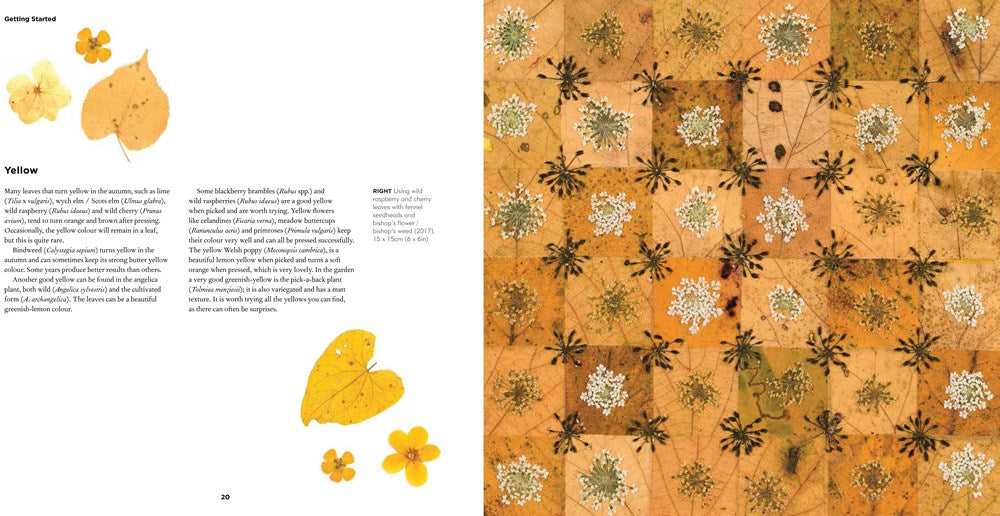 The Art of Pressed Flowers and Leaves