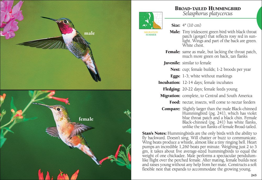 Birds of Colorado Field Guide