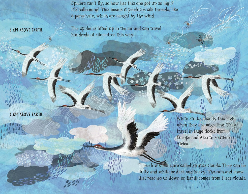 The Skies Above My Eyes