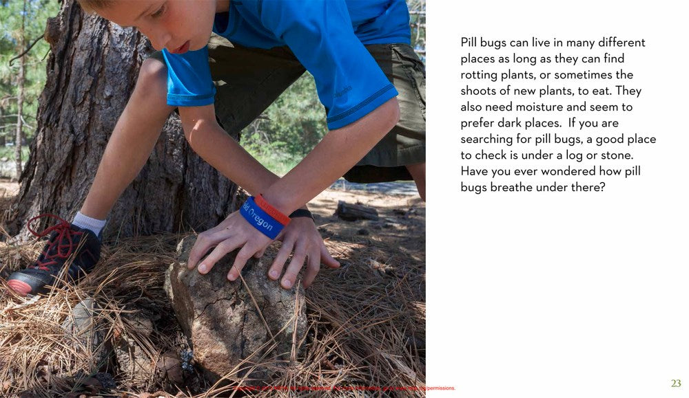 Next Time You See a Pill Bug