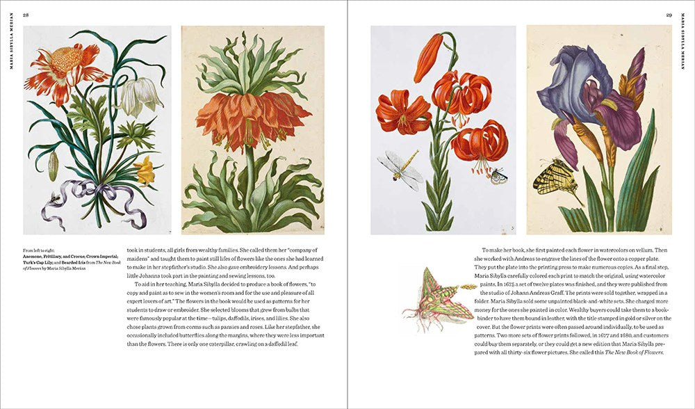 Maria Sibylla Merian