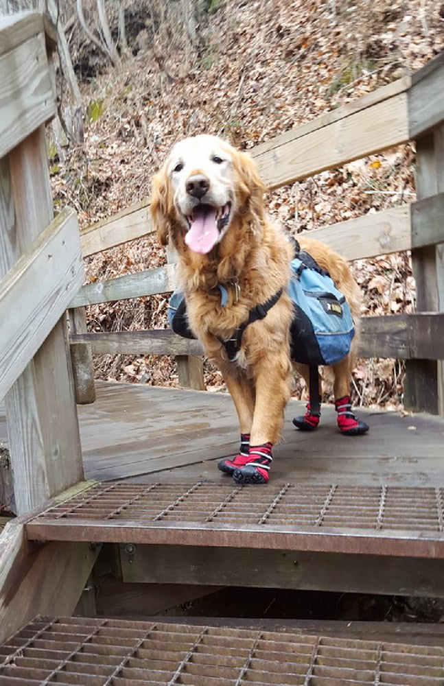 Northbound With Theo