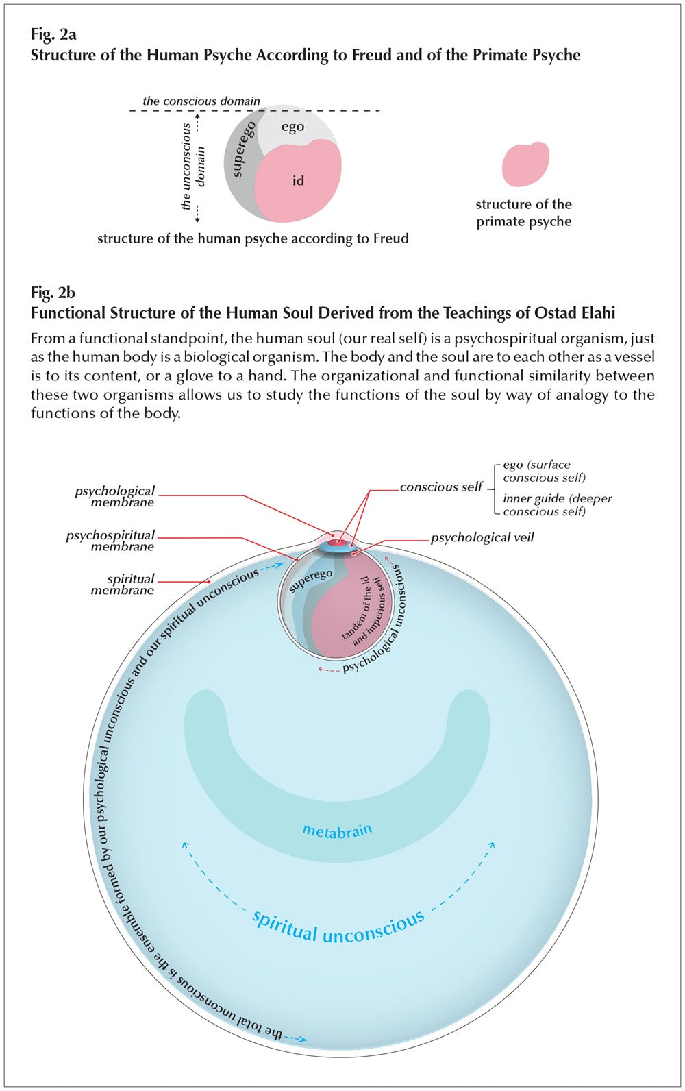 Fundamentals of the Process of Spiritual Perfection
