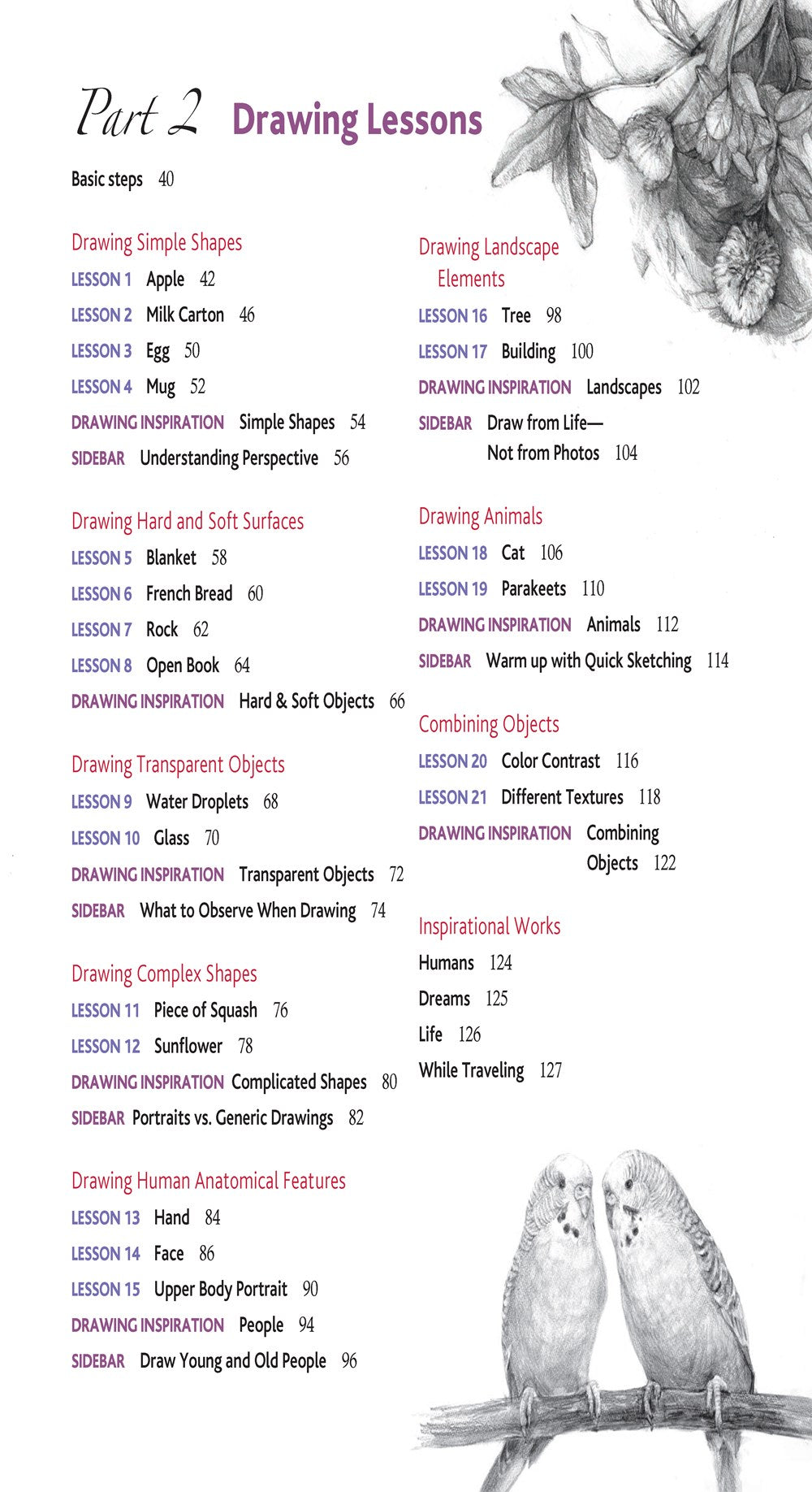The Complete Guide to Drawing for Beginners