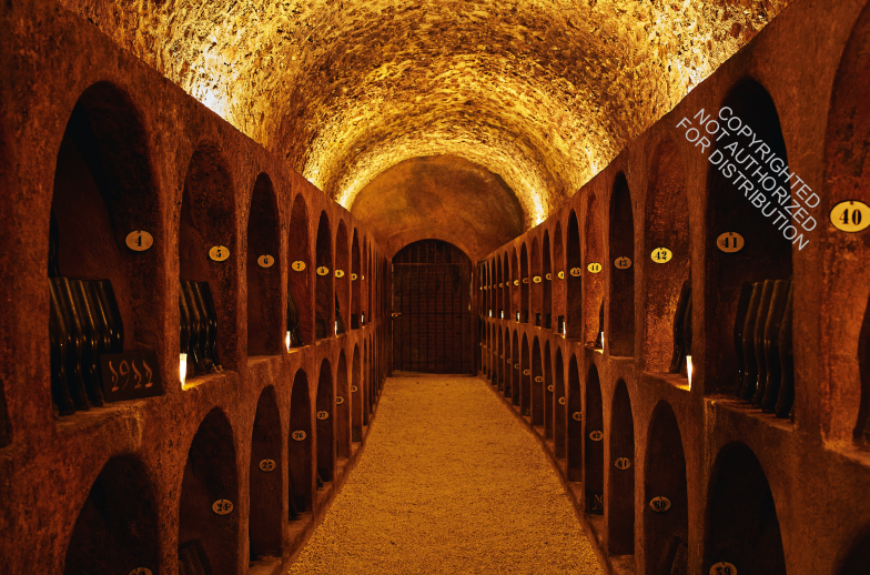 Champagne Magnum Opus