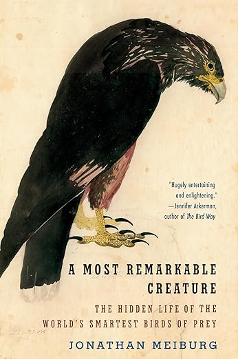 A Most Remarkable Creature: The Hidden Life of the World's Smartest Birds of Prey