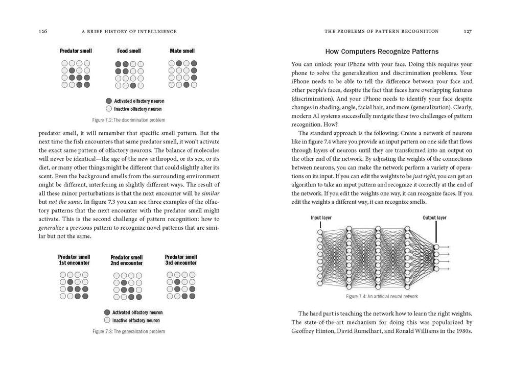 A Brief History of Intelligence: Evolution, AI, and the Five Breakthroughs That Made Our Brains