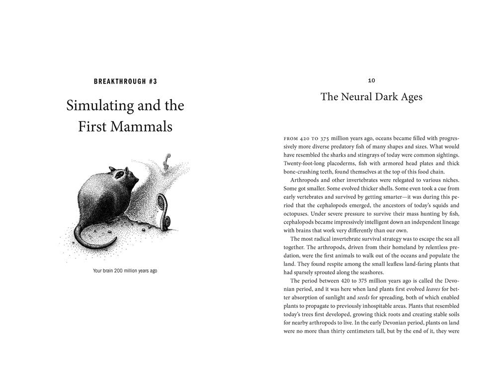 A Brief History of Intelligence: Evolution, AI, and the Five Breakthroughs That Made Our Brains