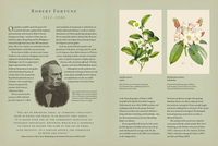 Practical Botany for Gardeners