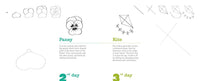 365 Days of Drawing