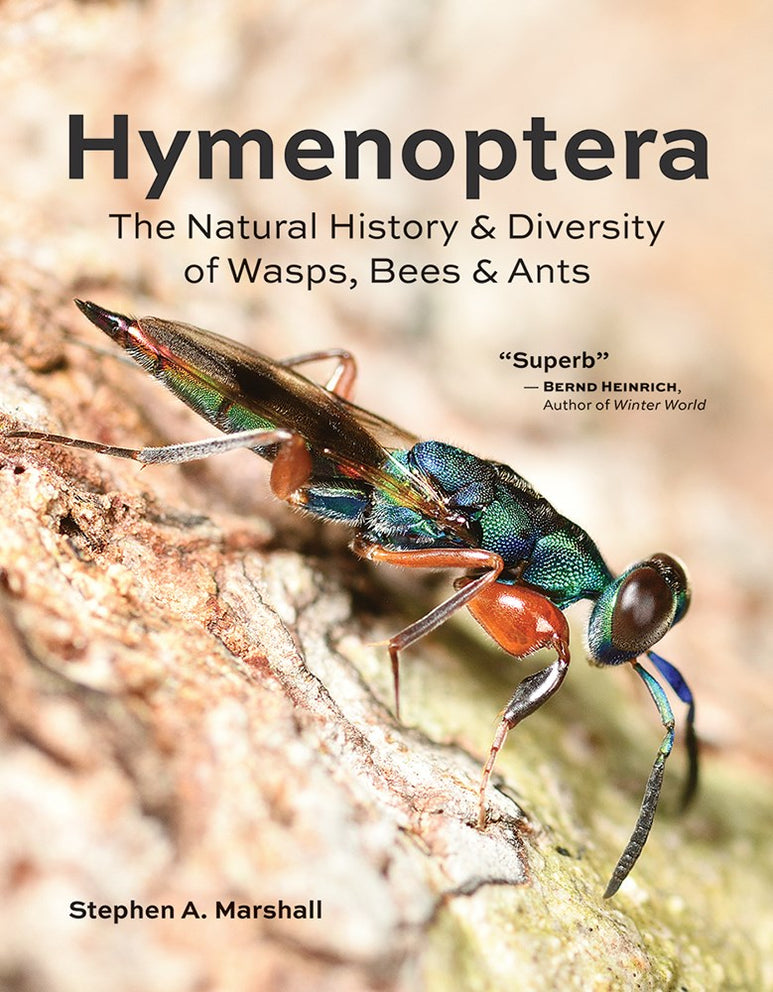 Hymenoptera: The Natural History and Diversity of Wasps, Bees and Ants