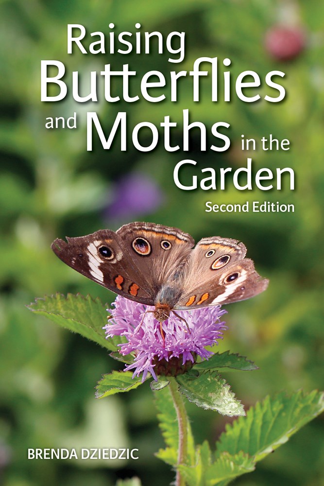 Raising Butterflies and Moths in the Garden  (2nd Edition, Revised)