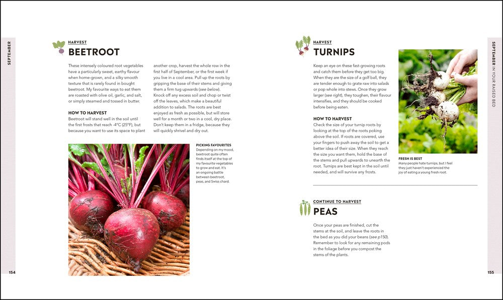 Veg in One Bed