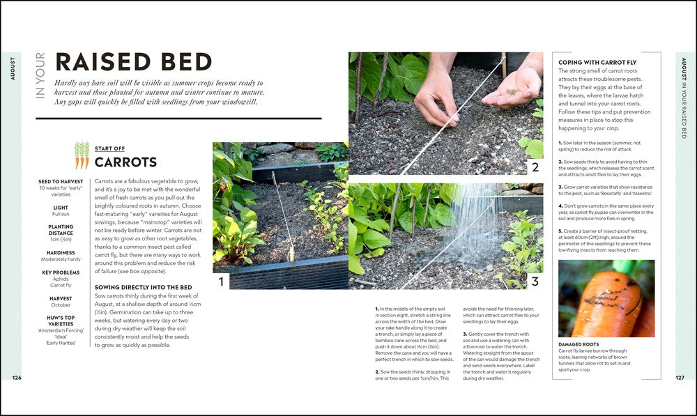 Veg in One Bed