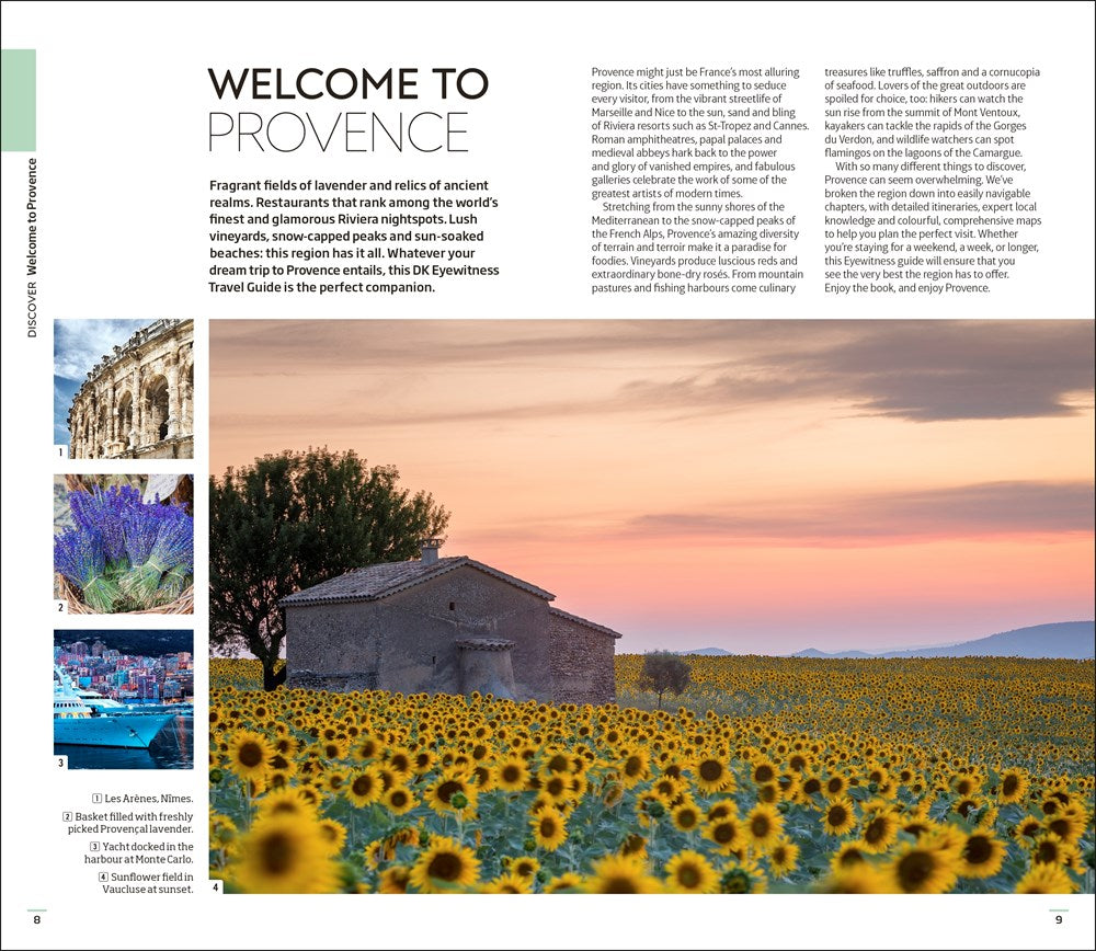DK Provence and the Cote d'Azur