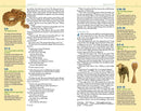NIV, Kids' Visual Study Bible, Leathersoft, Bronze, Full Color Interior