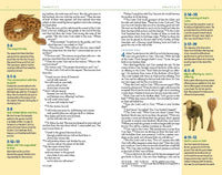NIV, Kids' Visual Study Bible, Leathersoft, Bronze, Full Color Interior