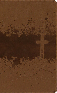 NIV, Kids' Visual Study Bible, Leathersoft, Bronze, Full Color Interior