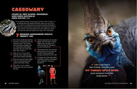 100 Animals That Can F*cking End You