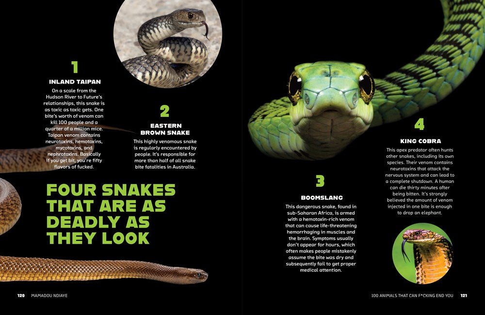 100 Animals That Can F*cking End You