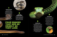 100 Animals That Can F*cking End You