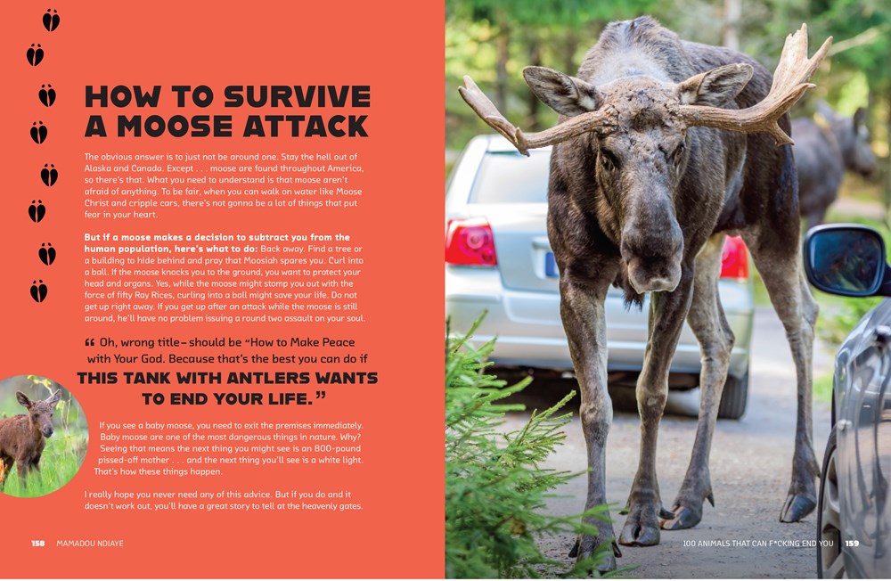 100 Animals That Can F*cking End You