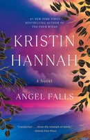 Angel Falls: A Novel