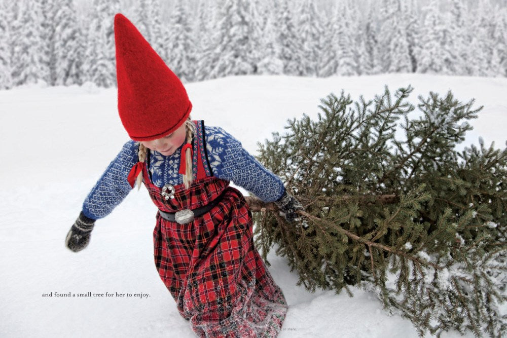 The Christmas Wish