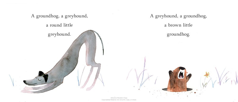 A Greyhound, a Groundhog
