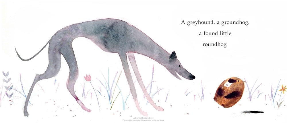 A Greyhound, a Groundhog