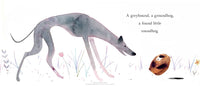 A Greyhound, a Groundhog