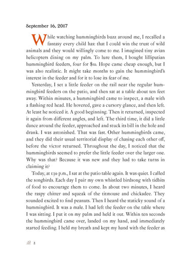 The Backyard Bird Chronicles