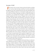 The Backyard Bird Chronicles