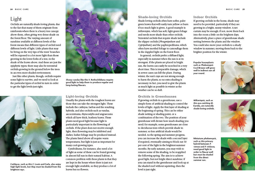 Orchid Basics