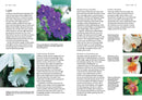 Orchid Basics