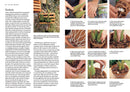Orchid Basics