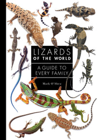 Lizards of the World: A Guide to Every Family