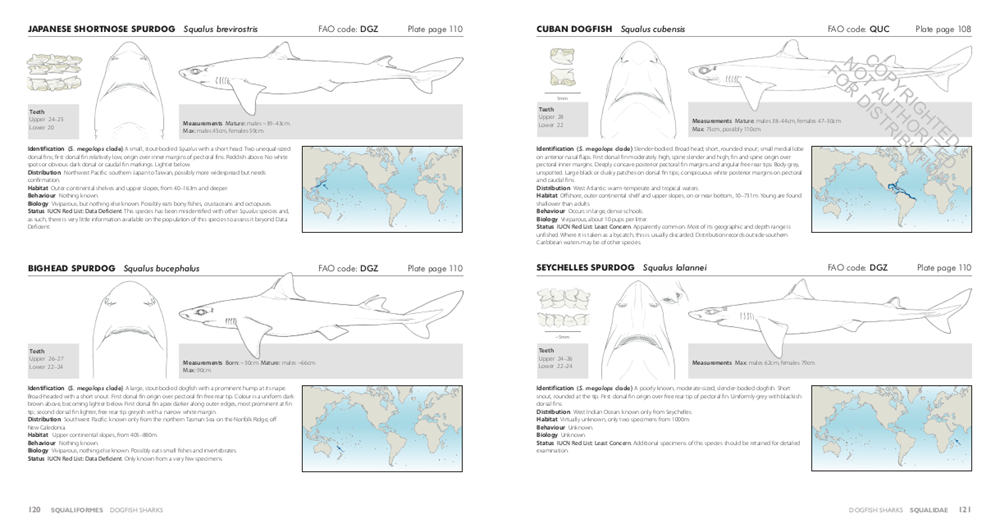 Sharks of the World