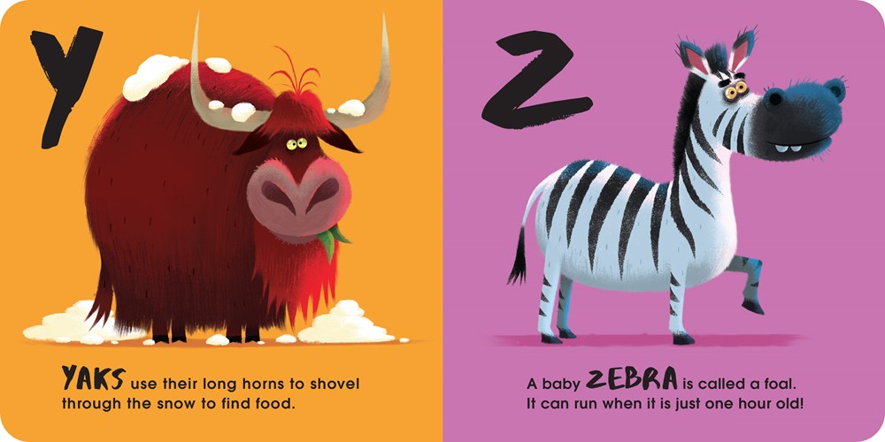 The World's Most Pointless Animals