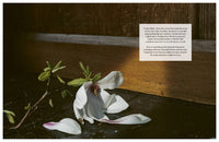 Flower Philosophy