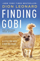 Finding Gobi: A Little Dog with a Very Big Heart