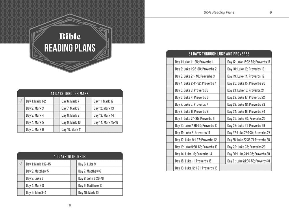The Dad Tired Guide to Basic Bible Study