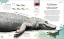 Weird and Wonderful Nature: Tales of More Than 100 Unique Animals, Plants, and Phenomena (DK Treasures)