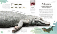 Weird and Wonderful Nature: Tales of More Than 100 Unique Animals, Plants, and Phenomena (DK Treasures)
