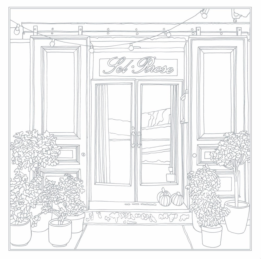 prettycitynewyork: The Coloring Book