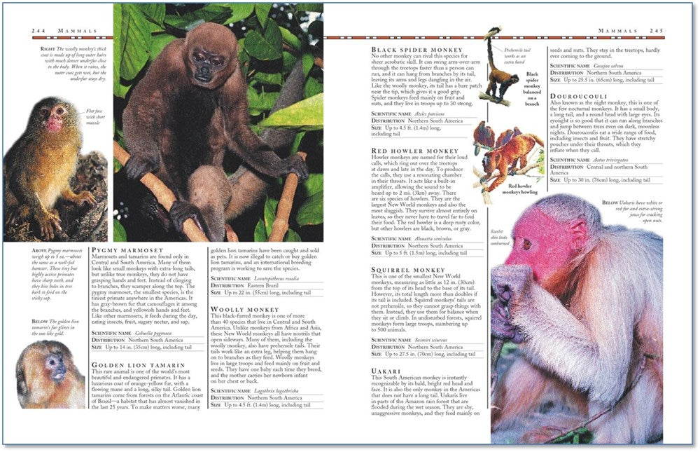 The Kingfisher Animal Encyclopedia