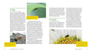 Attracting Beneficial Bugs to Your Garden, Revised and Updated Second Edition