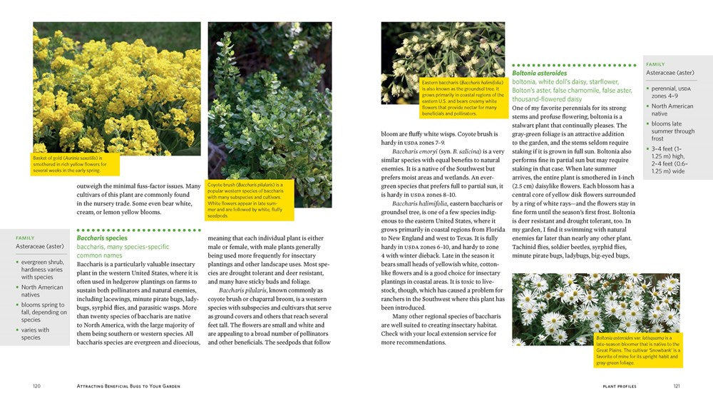 Attracting Beneficial Bugs to Your Garden, Revised and Updated Second Edition